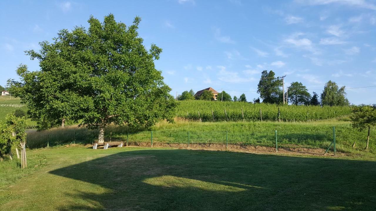 Villa Na Off Radenci Exterior foto