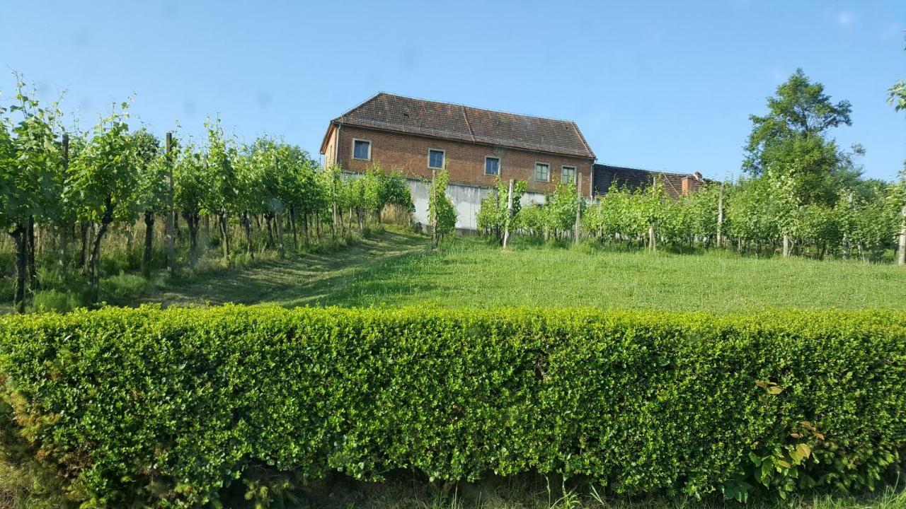 Villa Na Off Radenci Exterior foto